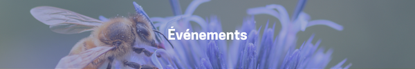 Événements-2023