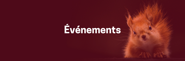 Événements