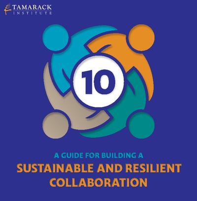 10: A Guide for Building a Sustainable and Resilient Collaboration
