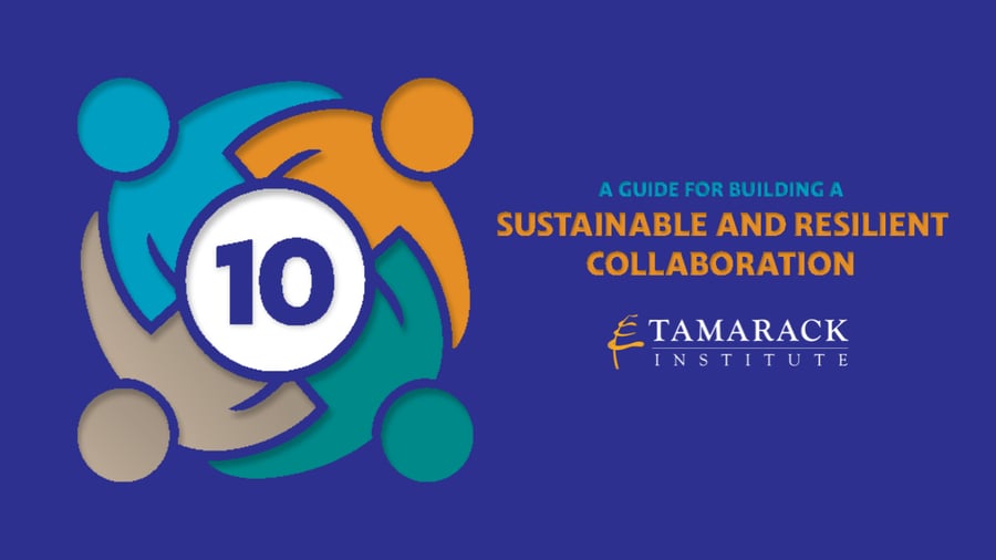 10: A Guide for Building a Sustainable and Resilient Collaboration