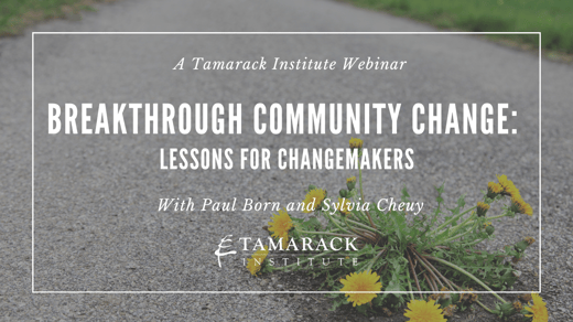 Breakthrough Community Change: Lessons for Changemakers