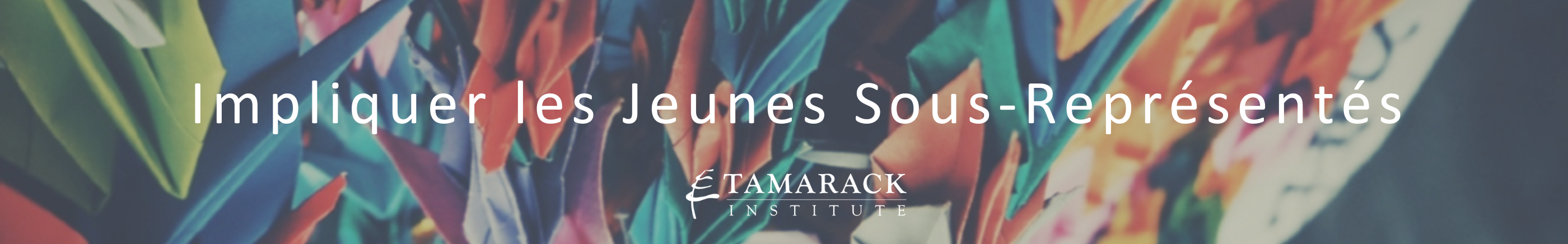 2019 Impliquer les Jeunes  Sous-Représentés