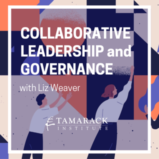 New Addition to the Collaborative Leadership & Governance Series