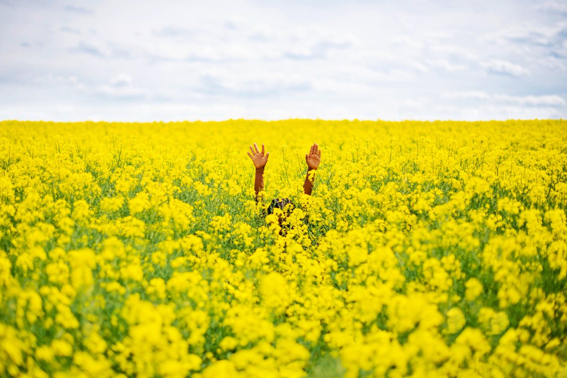 A Black person stands in a field of flowers with their arms raised