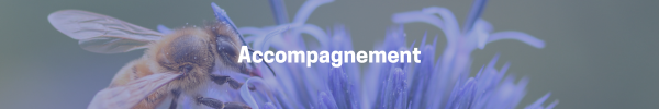 Accompagnement