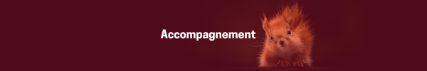 Accompagnement-fall-smaller