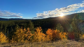 Angelina-Pelletier-autumn-landscape