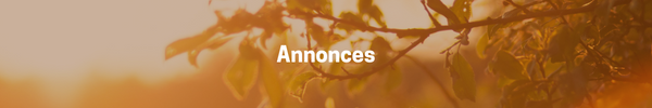 Annonce-2023