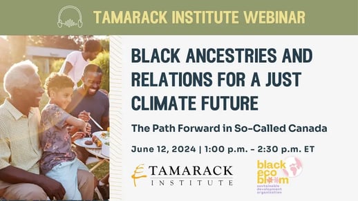 Webinar: Black Ancestries