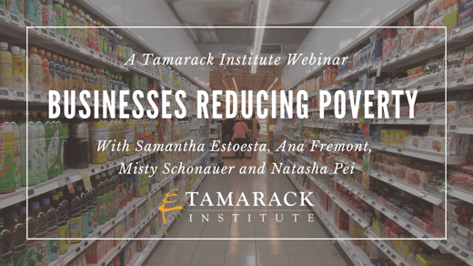 Webinar recording: Businesses Reducing Poverty