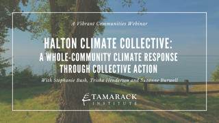 Webinaire en anglais : Halton Climate Collective: A whole-community climate response through collective action 