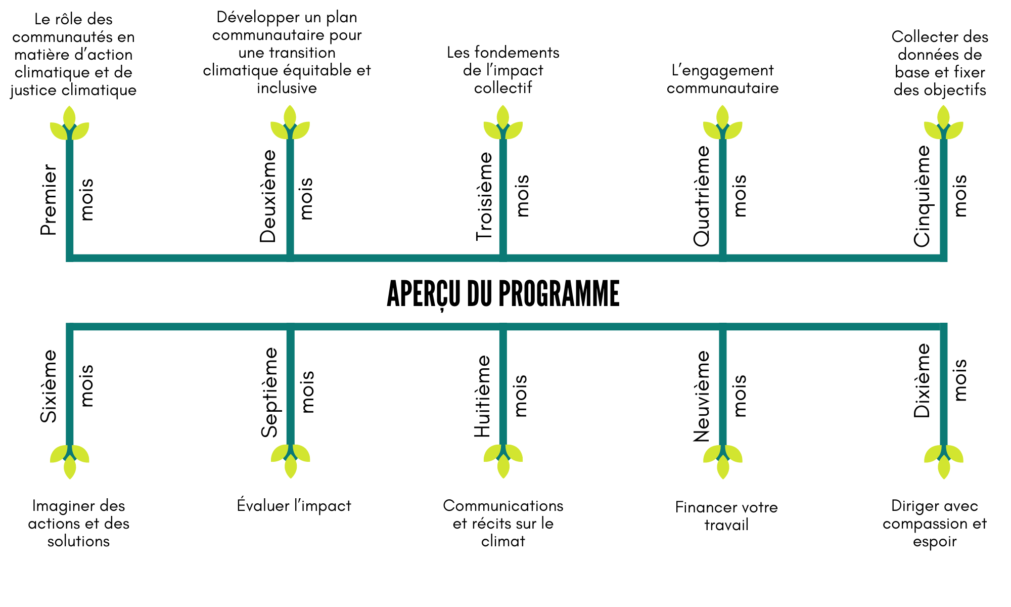 CCT blog infographic_FR