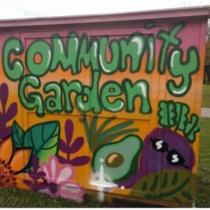 Centennial Community Garden 2