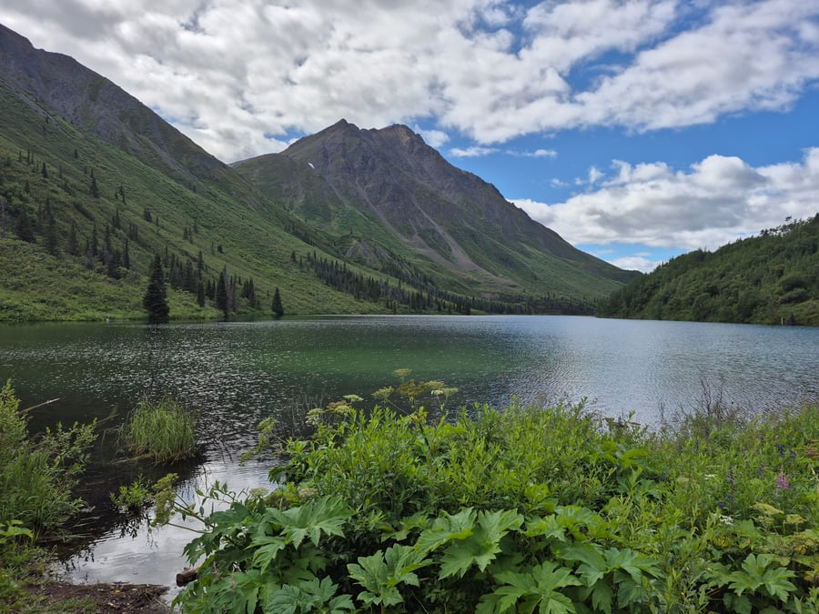 Open Letter from Canada’s Nonprofits and Charities to Corporate and Philanthropic Funders