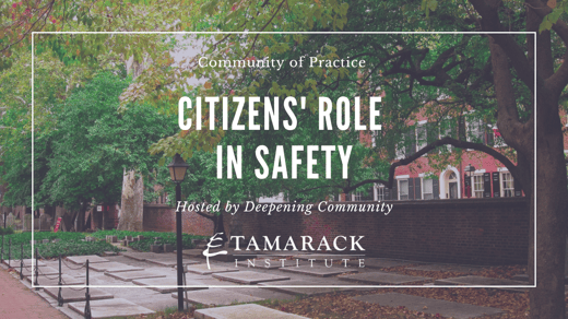 Citizens' Role in Safety Community of Practice