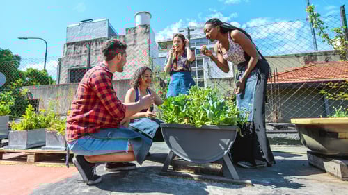 People smiling around a planter on a rooftop garden