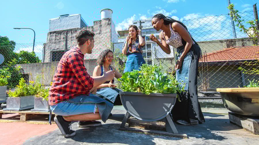 People smiling around a planter on a rooftop garden