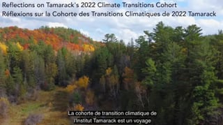 Reflections on the Climate Transitions Cohort
