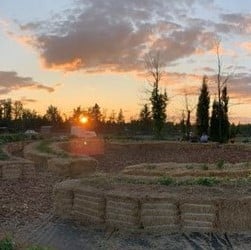 Common-Ground-Garden-sunset_square