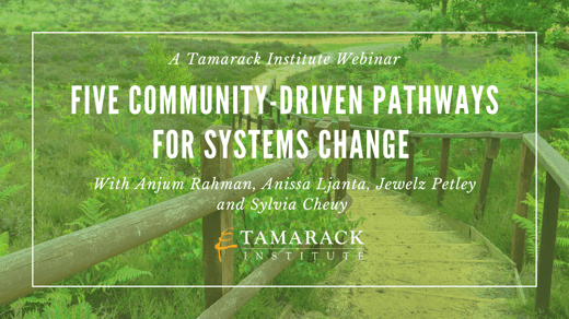 Webinar recording: Five Community-Driven Pathways for Systems Change