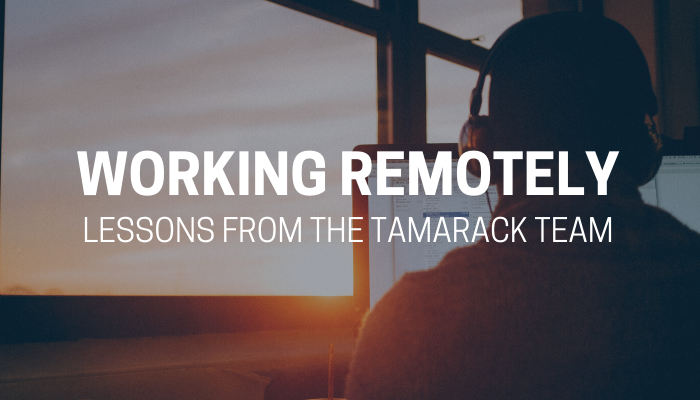 Copy of 2020 Webinar Working Remotely (2)