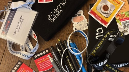 Imagination, Federal Budgets and Community