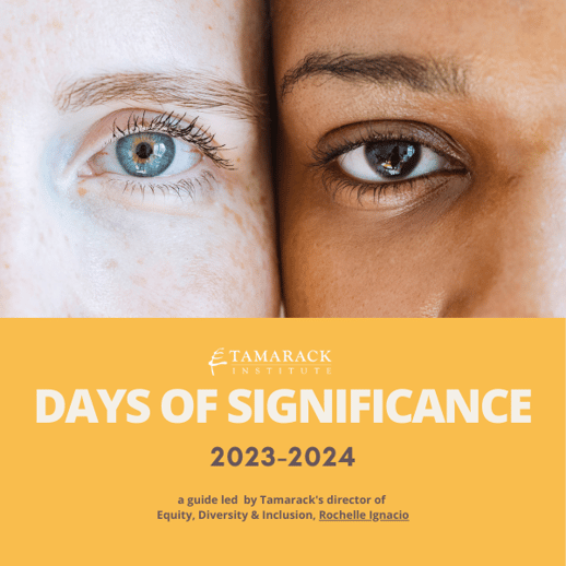 Days of Significance 2023-2024: A Guide