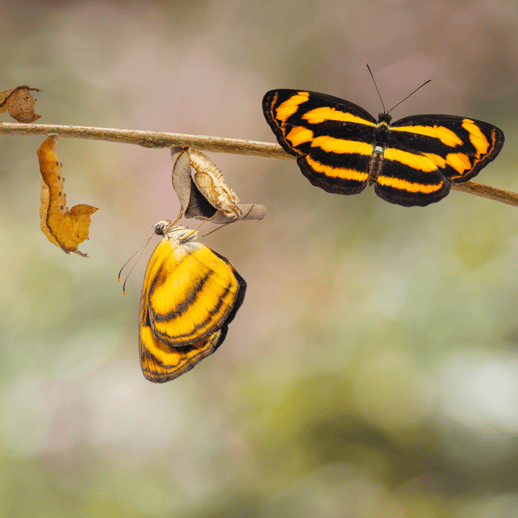 Centring Equity and Place-Based Approaches in Systemic Transformation 