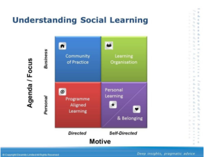 Understanding Social Learning.png