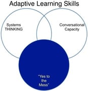 adaptive learning skills yes to the mess.jpg