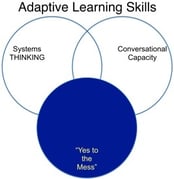 adaptive learning skills yes to the mess.jpg