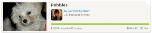 crowdfunding2.png