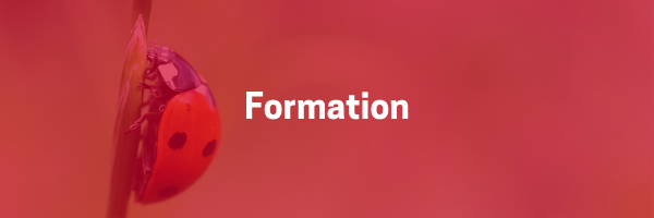 Formation-1