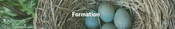 Formation-2023