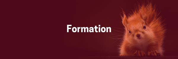 Formation-fall