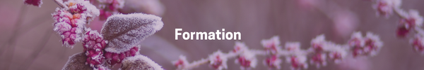 Formation
