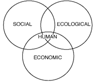 Four-dimensions-of-community