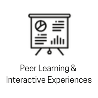 Peer Learning & Interactive Experiences