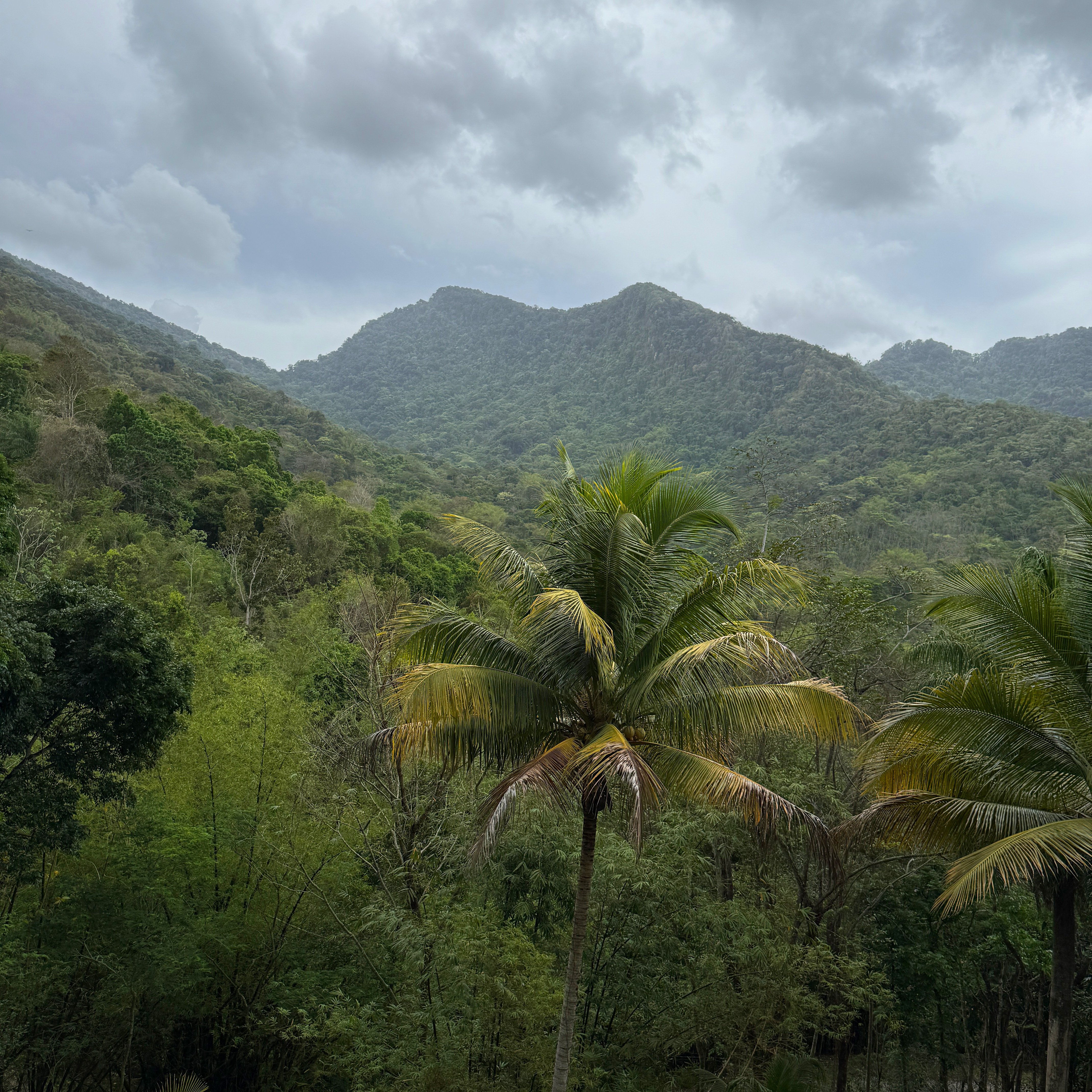 Maracas Valley, Trinidad
