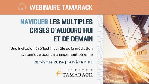 Naviguer les multiples crises d’aujourd’hui et de demain : une invitation à réfléchir sur le rôle de la médiation systémique pour un changement durable
