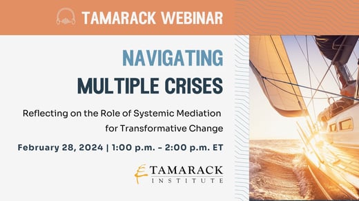 Navigating Multiple Crises: Reflecting on the Role of Systemic Mediation for Transformative Change