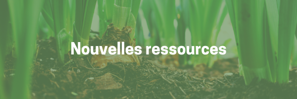 Nouvelles-ressources-1