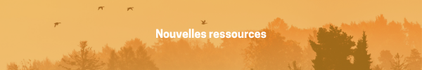 Nouvelles-ressources-fall