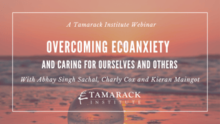 Overcoming Ecoanxiety and Caring For Ourselves and Others