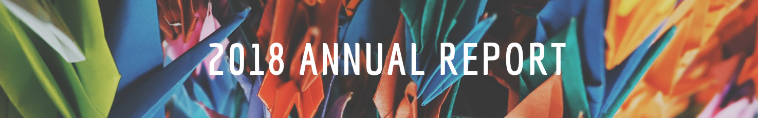 Annual Report 2018 header
