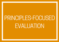 Principles Focused Evaluation Banner