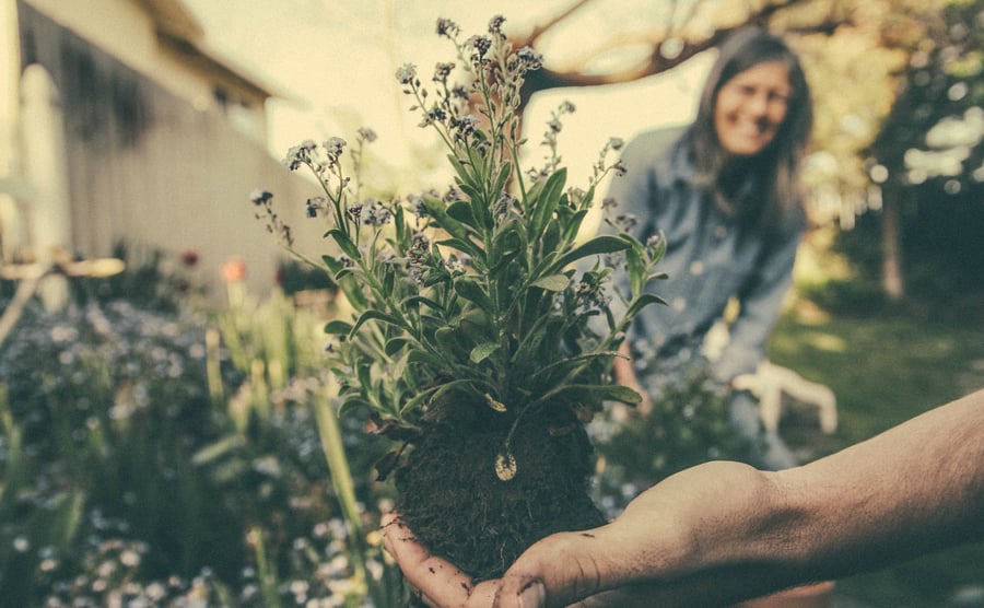 Gardening Hand