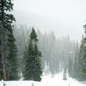 Let It Snow