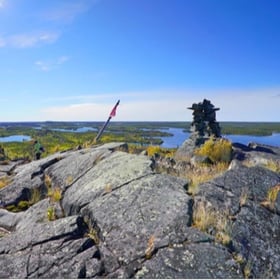 NWT-1