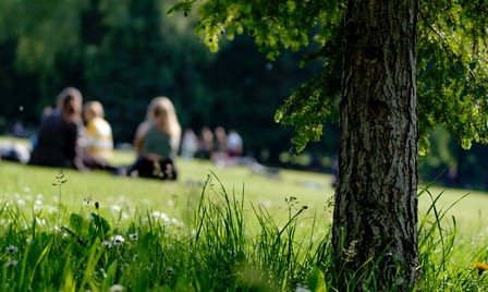 People sitting on grass